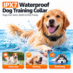 Dog wearing a black remote training collar in water, with an infographic describing an IPX7 waterproof rating.
