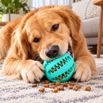 A golden retriever lying on a patterned rug, chewing a bright teal rubber treat-dispensing ball with kibble visible through the slots. Scattered kibble pieces on the rug in front of the dog, with a cozy living room background. Photorealistic, natural lighting, realistic textures.