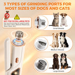 Infographic showing 3 types of grinding ports suitable for small, medium, and large dog and cat breeds.