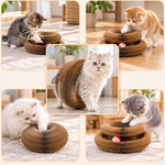 Cute cats interacting separately with the foldable accordion cat scratcher in different shapes