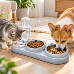 Cat and Corgi eating from a gray pet feeding station with two stainless steel food bowls, a water bowl divider, and a clear water reservoir in a bright home setting.