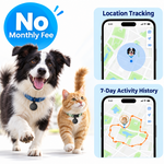 Black pet trackers worn by a dog and cat beside smartphone map screens illustrating location tracking and activity history.
