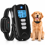 Black remote dog training collar with blue LCD remote, reflective stitched collar strap, and a golden retriever on a clean white background.

